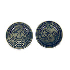 Adventure Coins – Dwarven Metal Coins Set of 10-RPG Coins-Norse Foundry-Metal Coins-DND Coins-TTRPG Coins