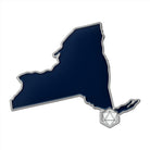 State Pin D20 - New York - NOR 03733