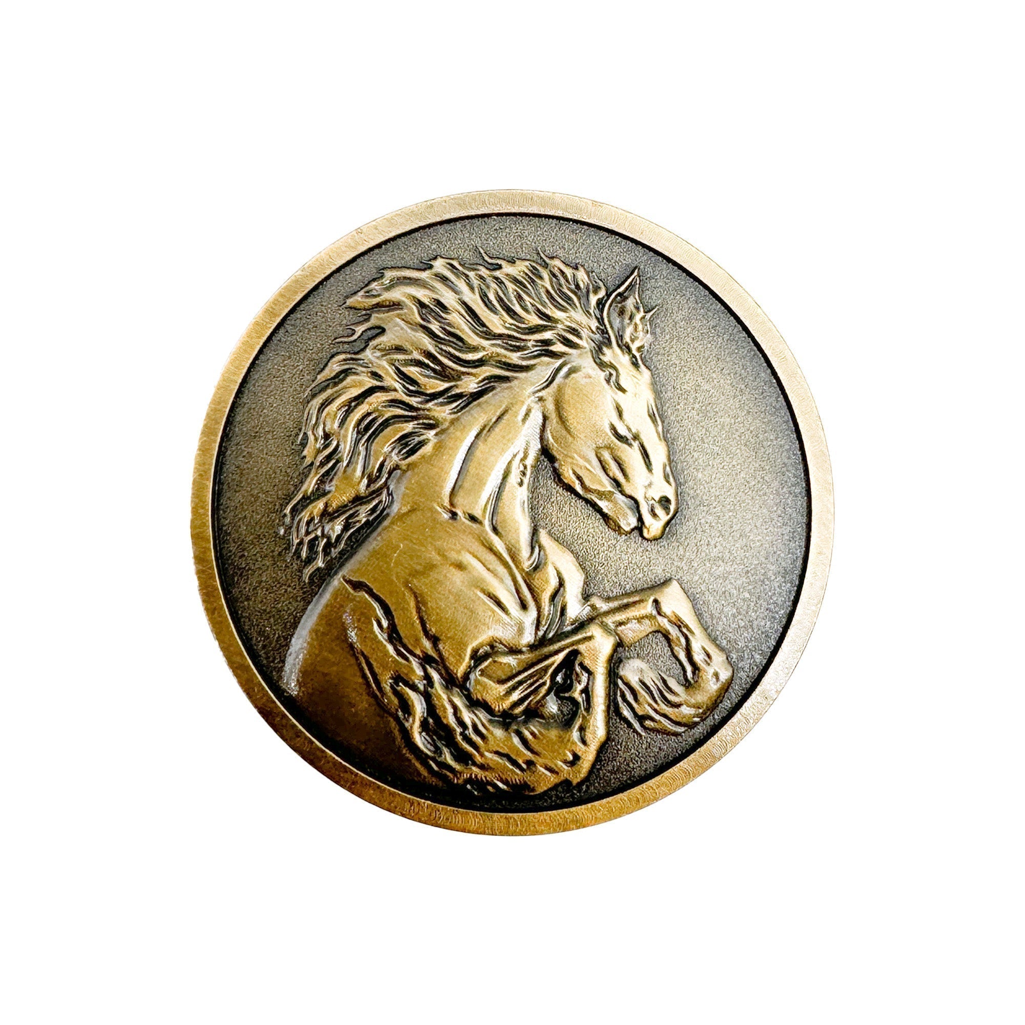 Challenge Coins - Nightmare - NOR 03566