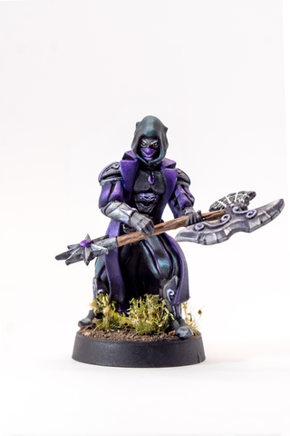 Vutheth - Elf Male Medium Miniature by Adventurers & Adversaries